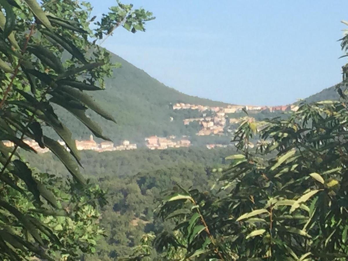 Bed and Breakfast Le Quattro Stagioni Teano Exterior foto
